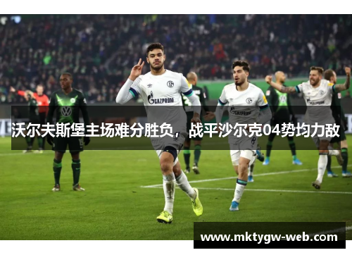 沃尔夫斯堡主场难分胜负，战平沙尔克04势均力敌