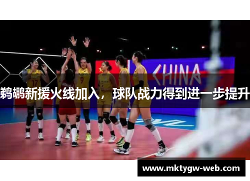鹈鹕新援火线加入,球队战力得到进一步提升