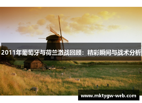 2011年葡萄牙与荷兰激战回顾：精彩瞬间与战术分析